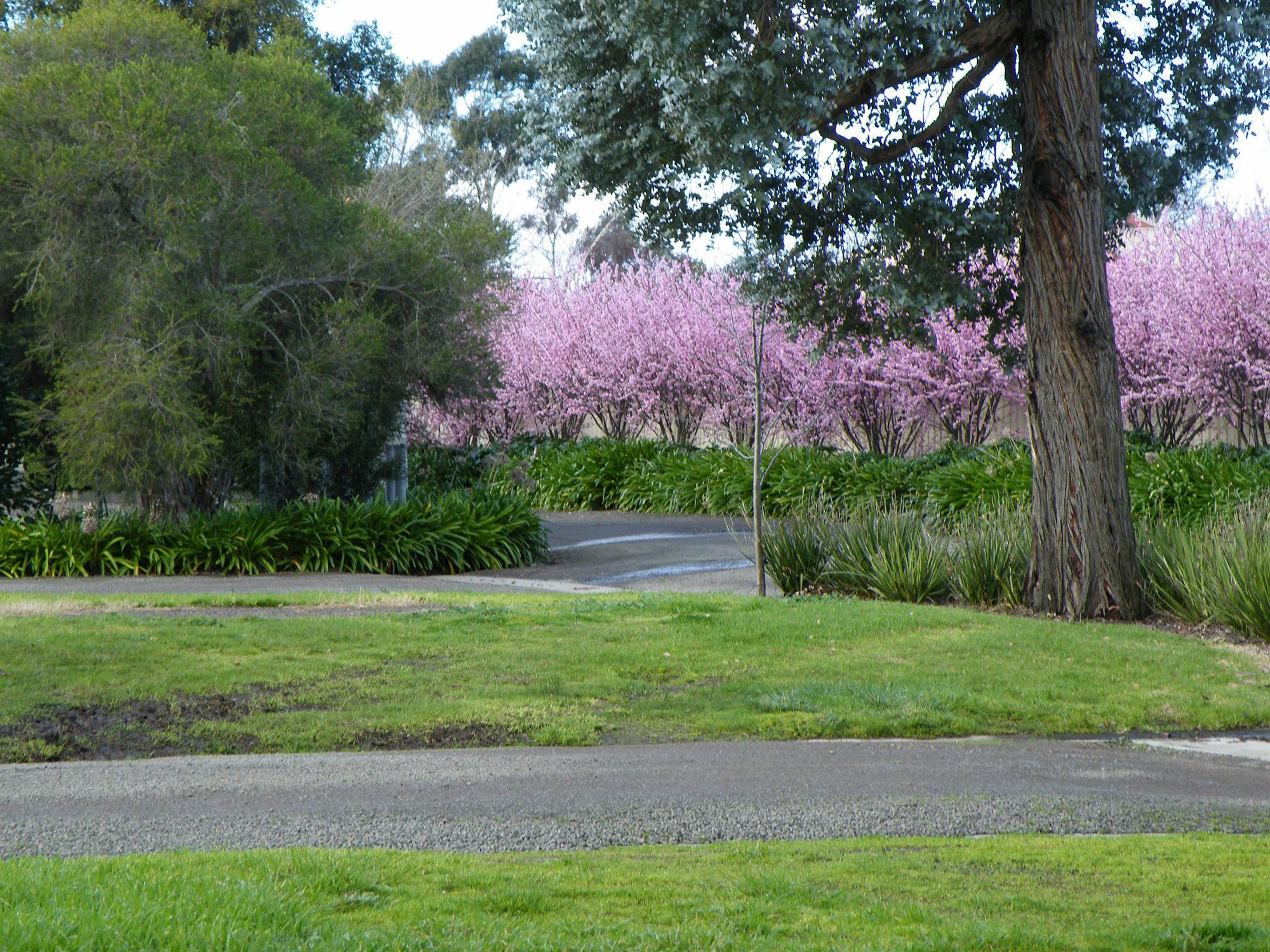 Lake Hamilton Motor Village And Caravan Park מראה חיצוני תמונה
